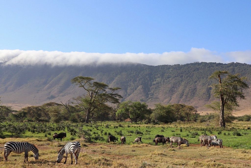 Ngorongoro Crater