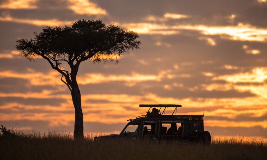 Night Safari in Tanzania