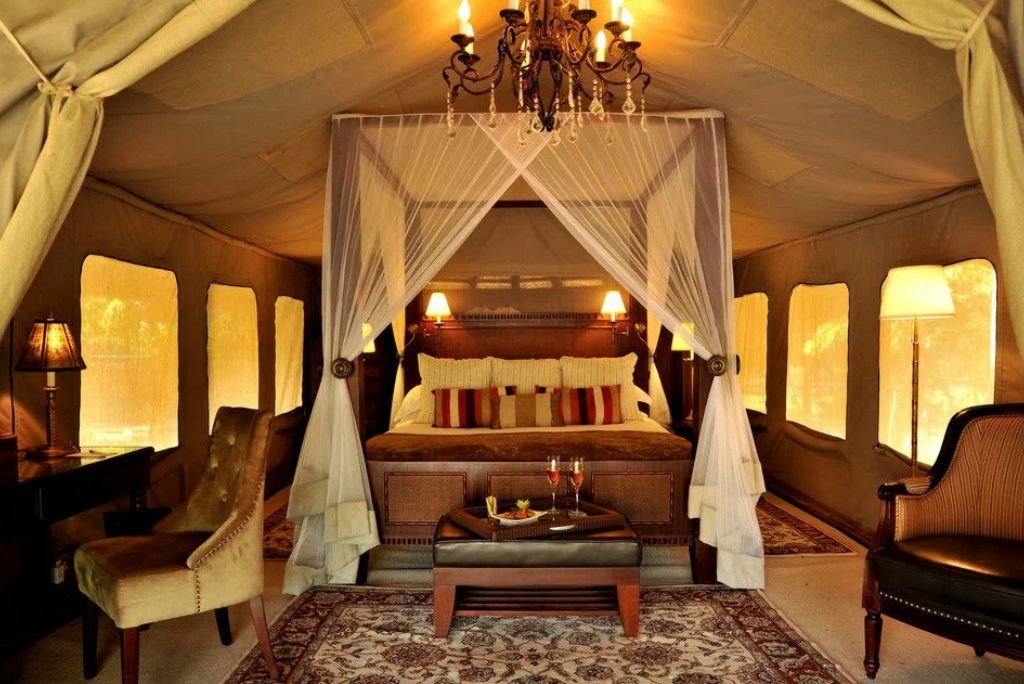 Tanzania Luxury Safari