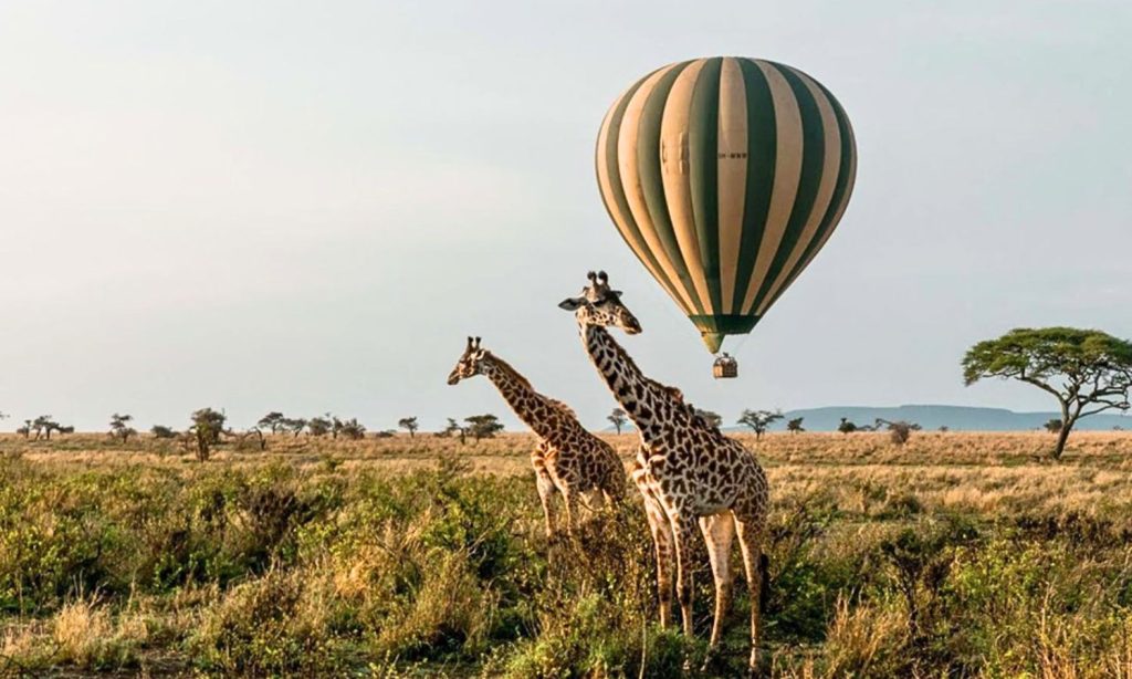 Tanzania National Parks