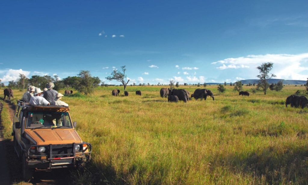 Tanzania Safari Guides