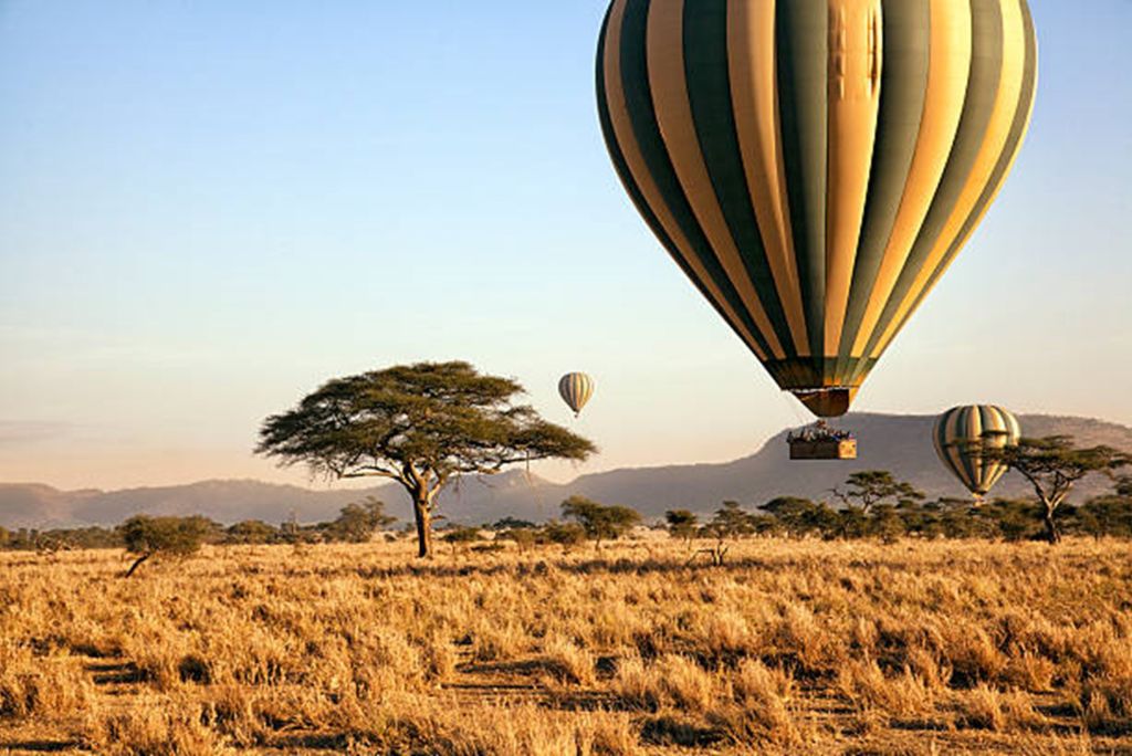 Tanzania Safari Tours