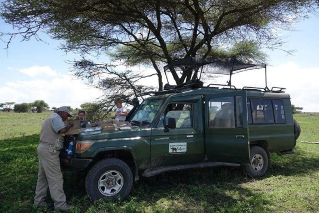 Tanzania Safaris