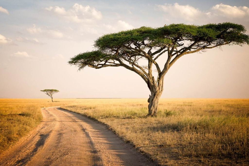 Serengeti National Park