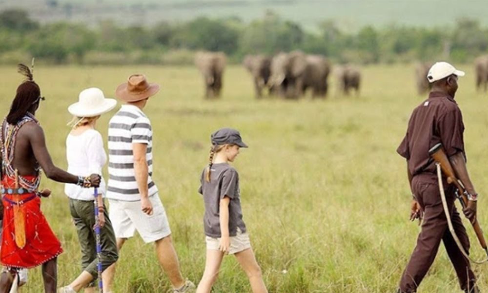 Top 5 Reasons to Experience a Private Guided Safari in Tanzania