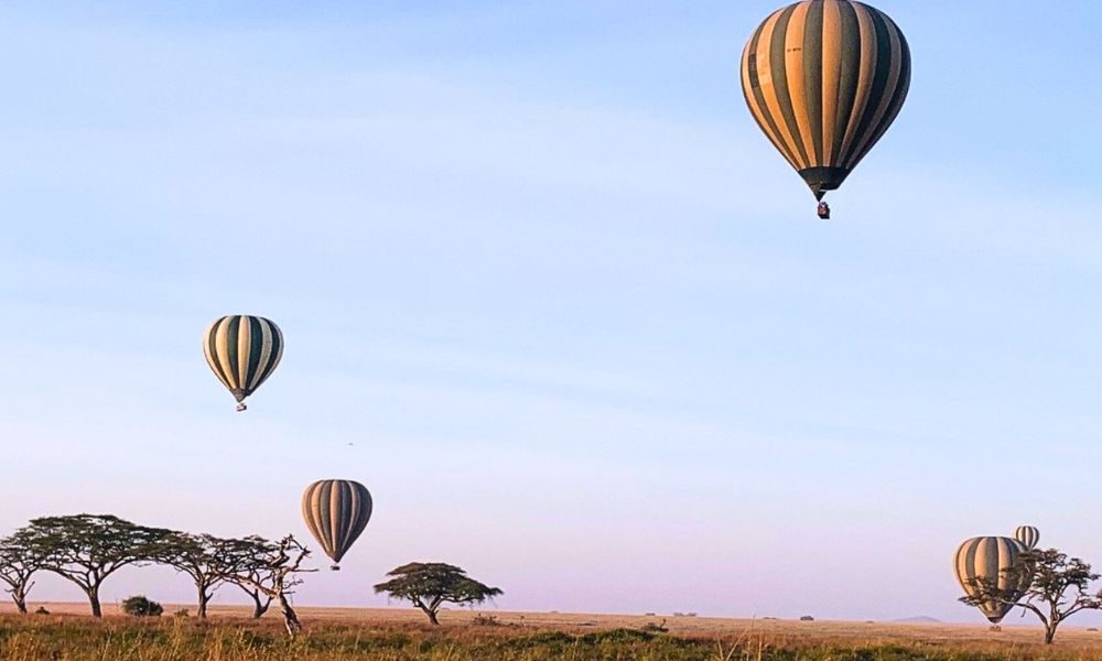 Serengeti Safaris – Everything You Need to Know for an Unforgettable Trip