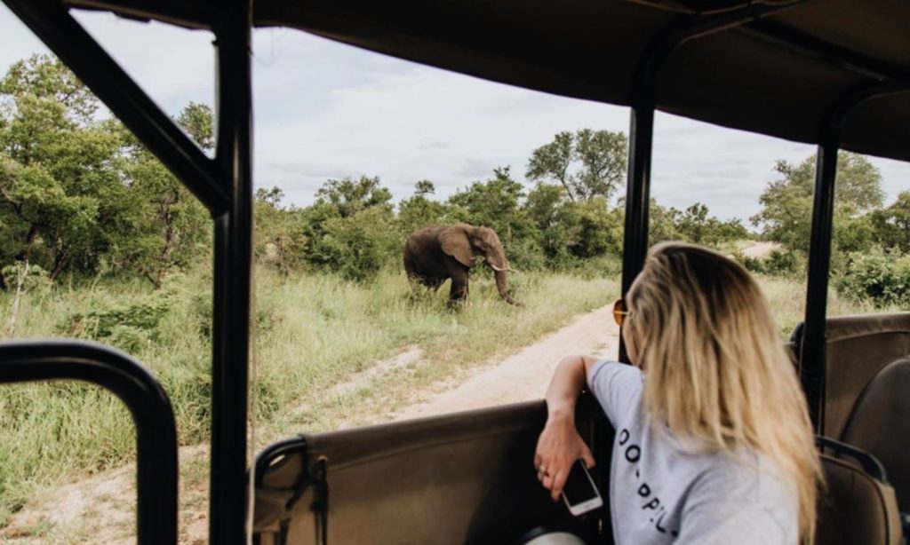 Cost of Safari in Tanzania