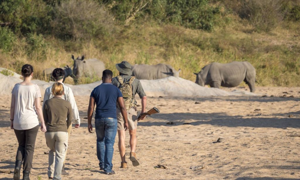 Selous Game Reserve Walking Safari