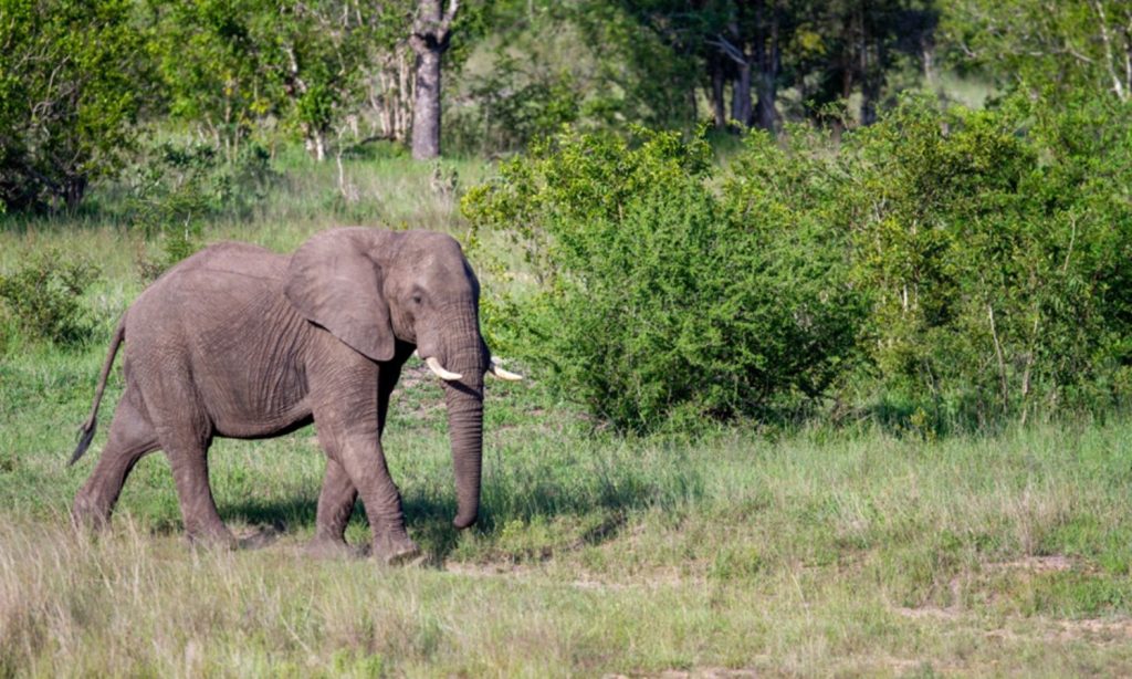 Tarangire National Park