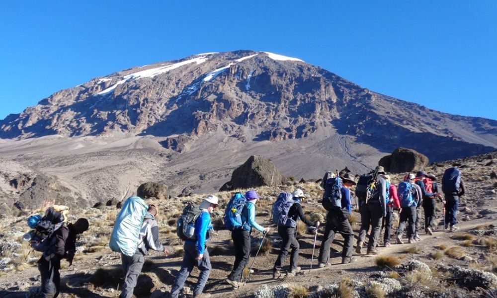 When Is the Best Time to Climb Kilimanjaro – A Complete Seasonal Guide?