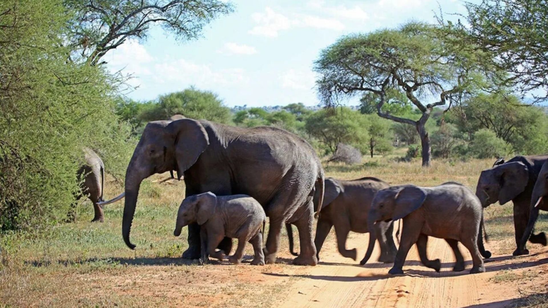 National Park