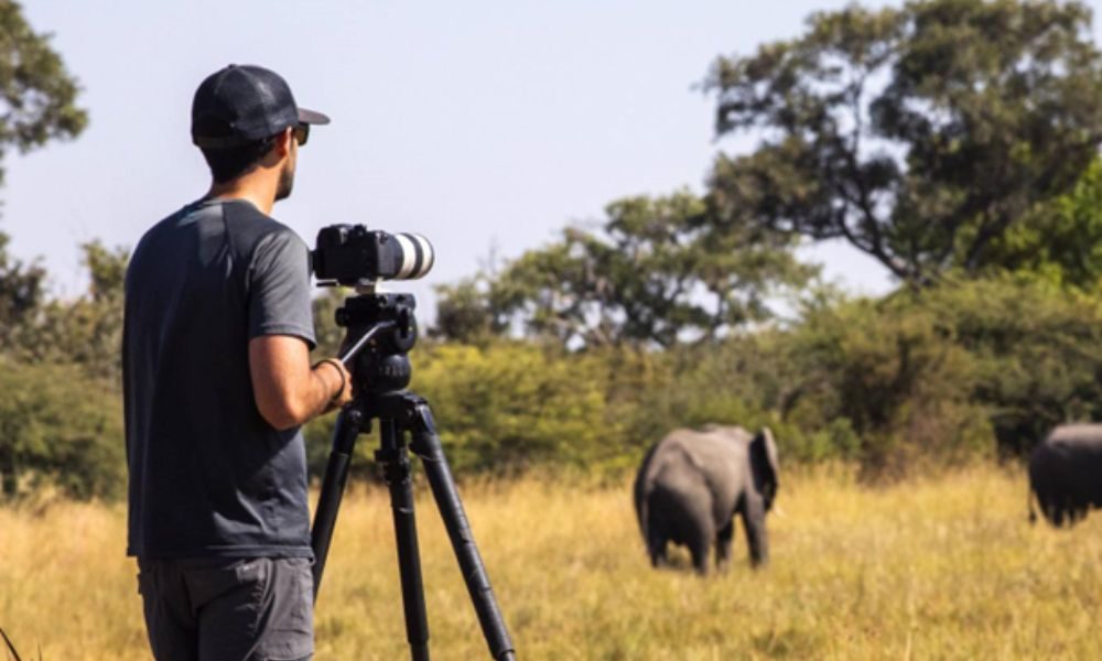 Why Tanzania is the Perfect Destination for a Photographic Safari?