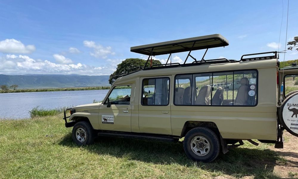 Tanzania Safari Cost How to Plan Your Budget Safari for 2025