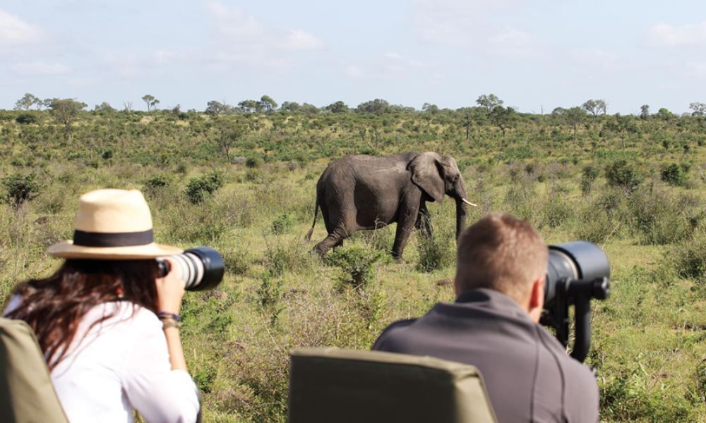 Discover The Best Spots for a Tanzania Photographic Safari