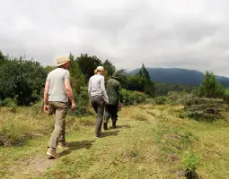 Walking Safari Adventure