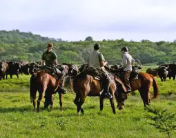  Horse Riding Fun