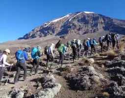 Climbing Mount Kilimanjaro