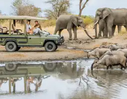 Game Drives