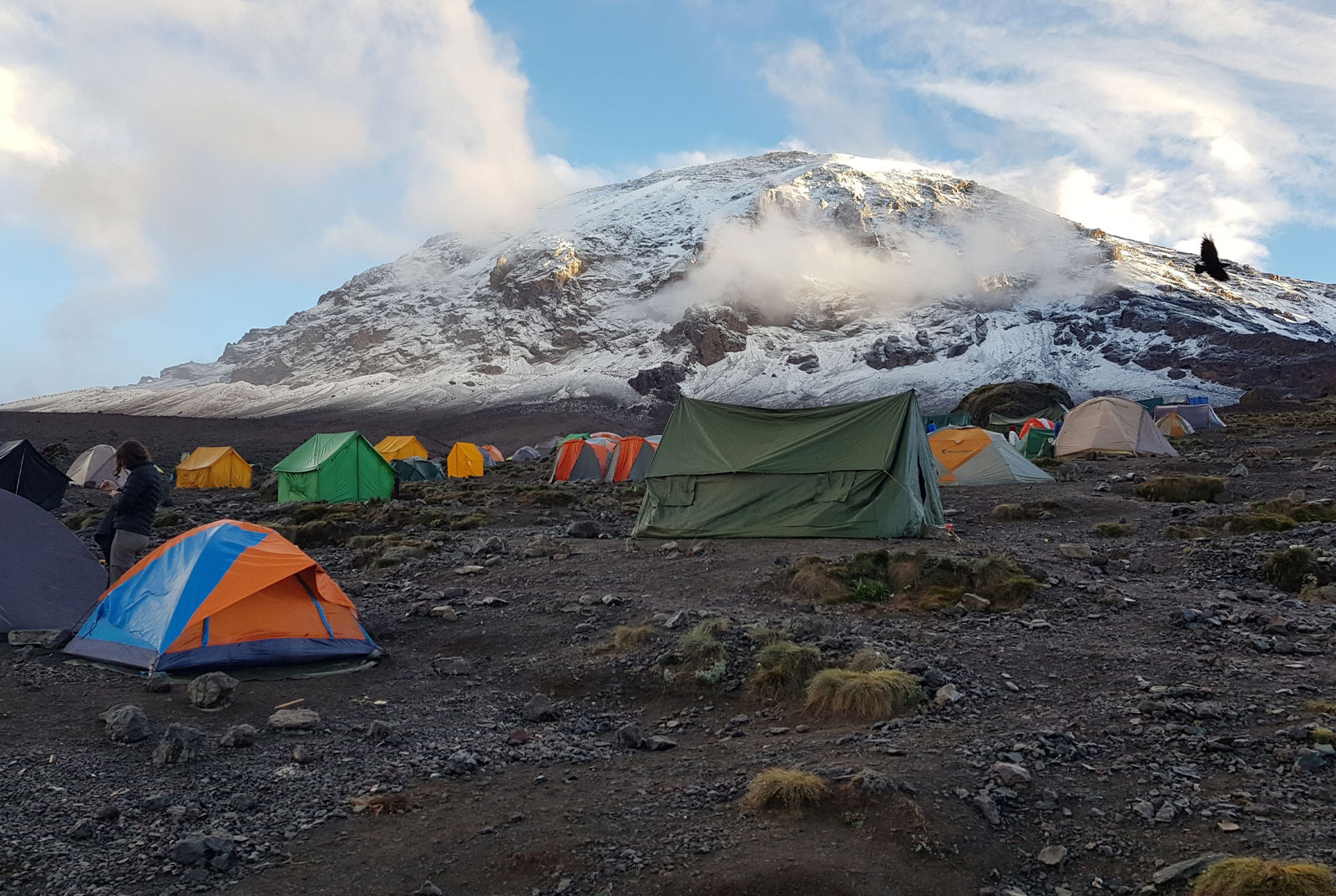  Mount Kilimanjaro Climbing 