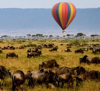 Serengeti Balloon Safari