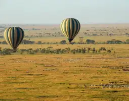 Hot Air Balloon Safaris