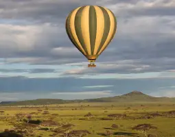 Balloon Safaris Above