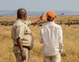  Guided Walking Safaris