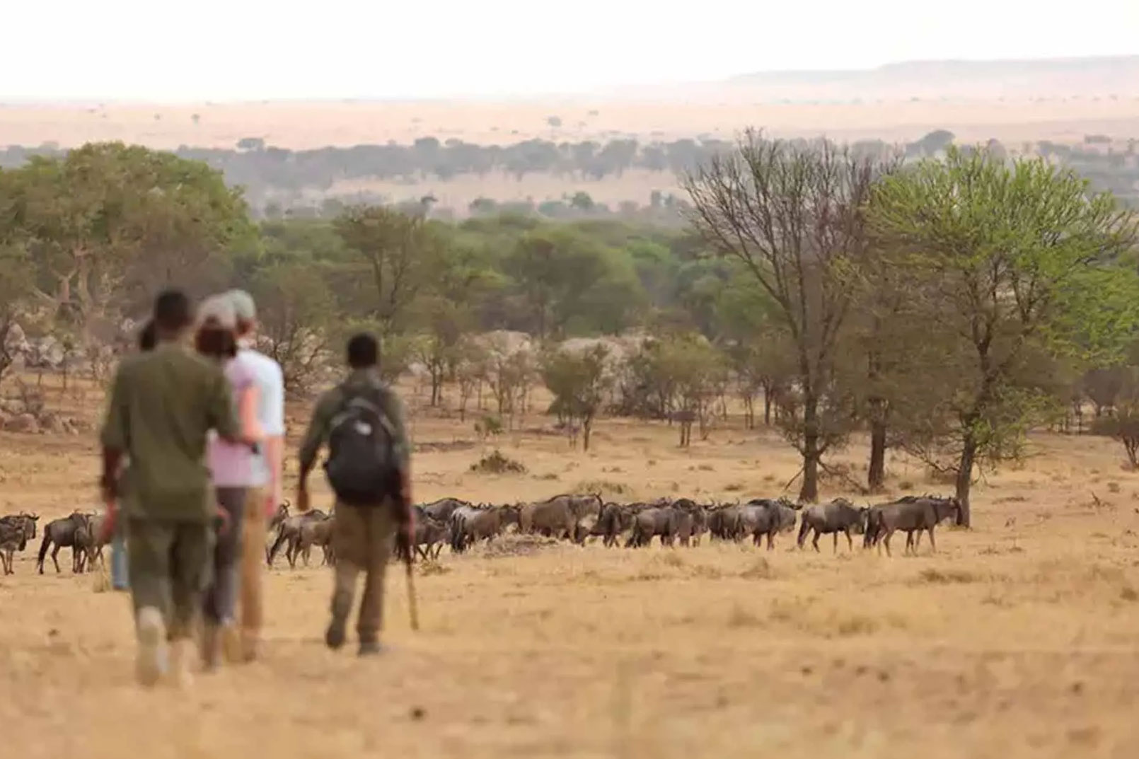 Tanzania Travel Safety