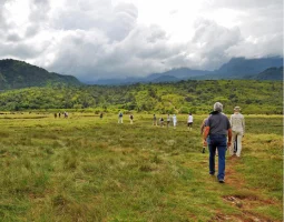 Explore Nature Walking Safaris