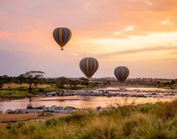 Balloon Safari Experience